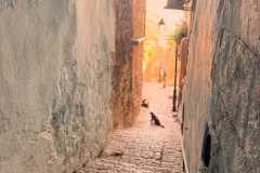 be5c90d9-4d14-4288-bfda-f9853d0f6392